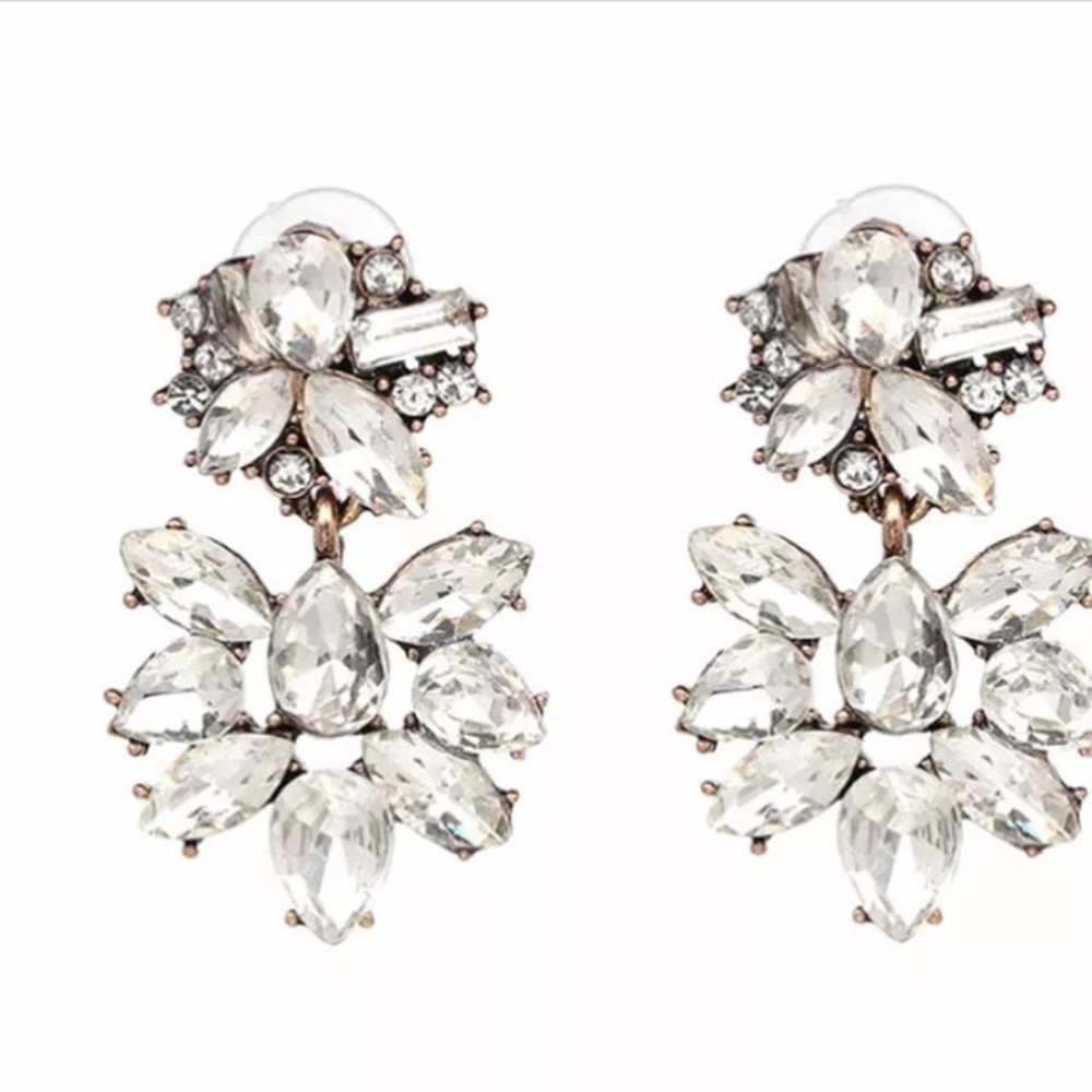 Earrings ( Brand New)